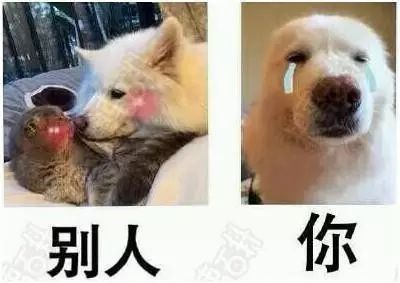 献过丑,心甘情愿当备胎?