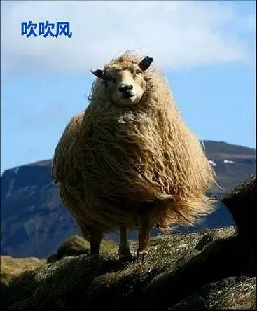 在你不开心的时候可以看看，之后你就乐了···