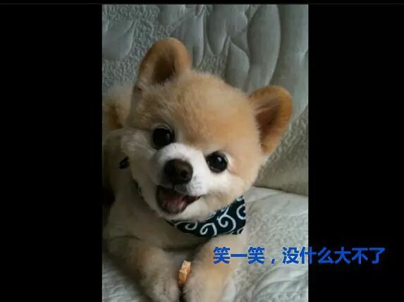 在你不开心的时候可以看看，之后你就乐了···