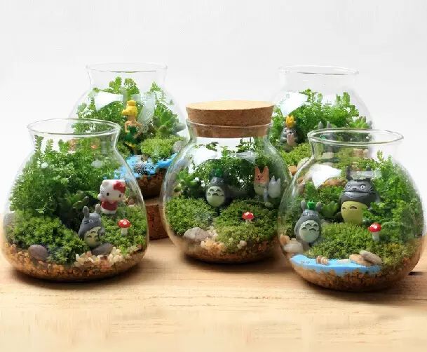 有趣的苔藓微景观diy