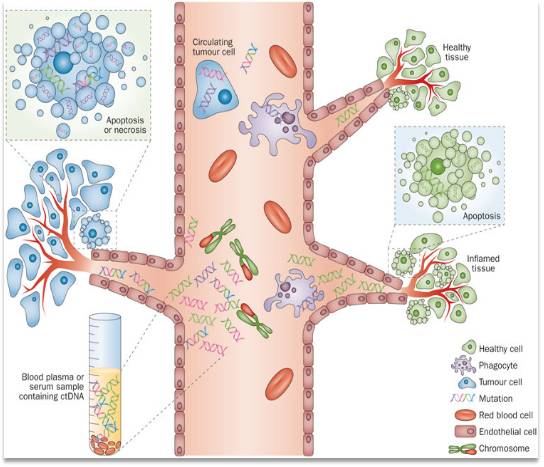液体活检技术知多少？