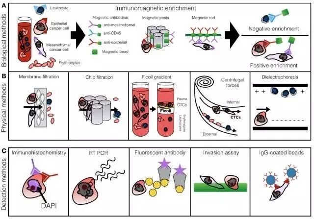 液体活检技术知多少？