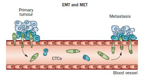 液体活检技术知多少？