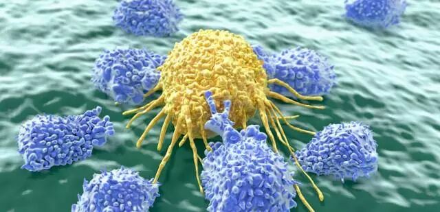 揭秘炎症和癌症发生的关联之谜