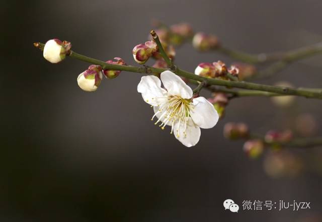 优质回答的经验之路_头条优质回答评判标准_电商之路经验