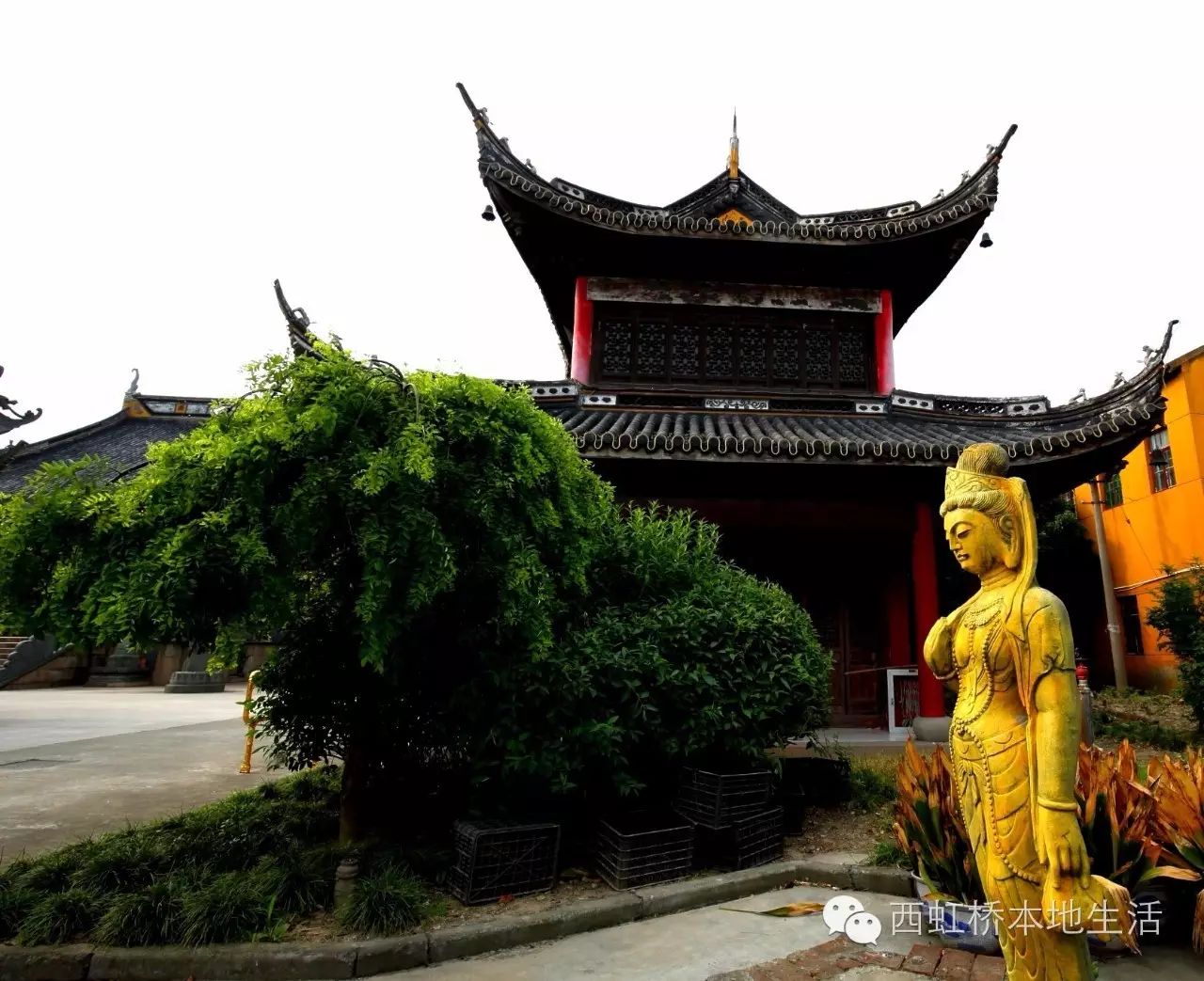 西虹桥 青浦白鹤 青龙寺&青龙塔游记