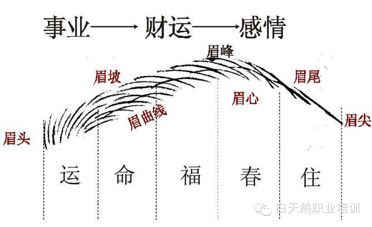 眉、眼、唇持久著妝容，讓你“懶”，更讓你