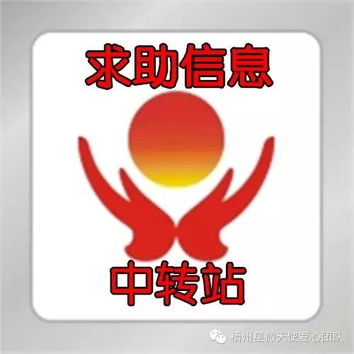 爱心传递（转发）941 / 作者:情系茶城 / 帖子ID:113281