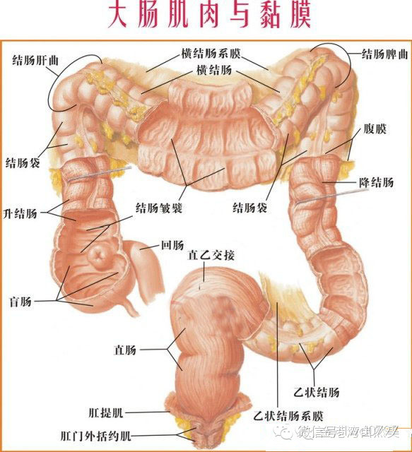 新葡京54777.com