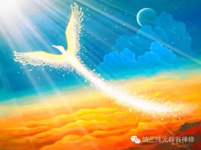 生命的涅槃之旅------波兰食气者魏鼎---食气、不食、禁食与自愈工作坊