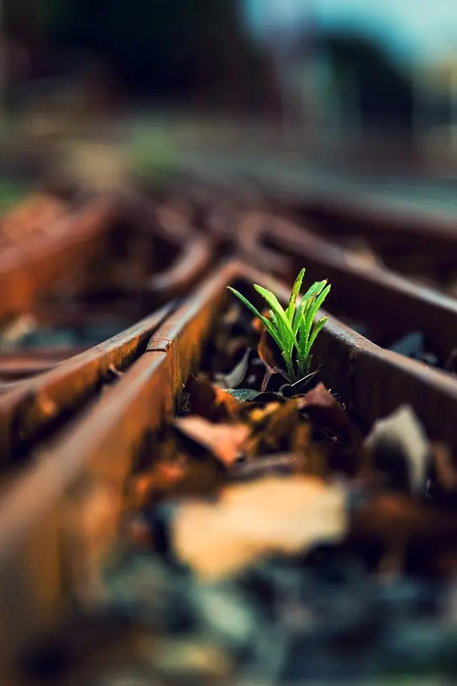 最伟大的教育，竟然是妈妈的情绪平和！