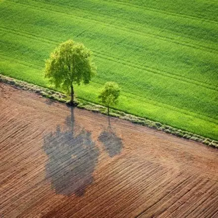 最伟大的教育，竟然是妈妈的情绪平和！