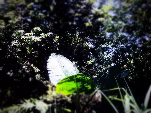 最伟大的教育，竟然是妈妈的情绪平和！