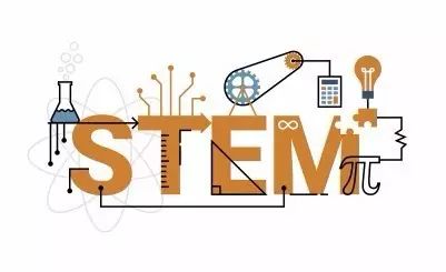 Amber Report|STEM OPT Update