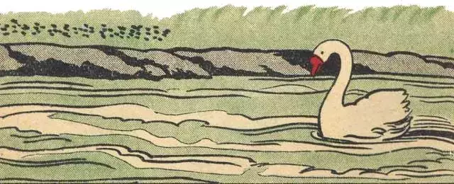 640 (6).png
