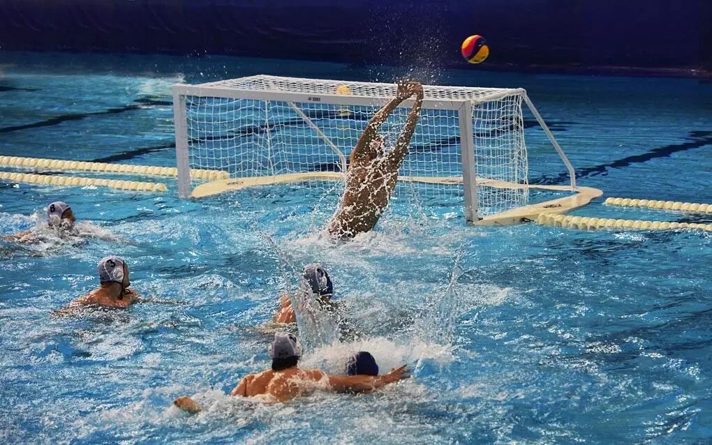 “雷士照明”2016年世界男子水球联赛总决赛今日开赛