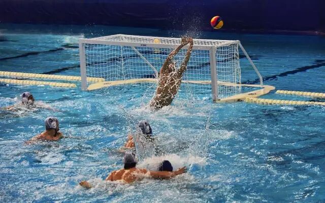 体育 | 雷士照明冠名的国际水球联赛在惠州开赛啦