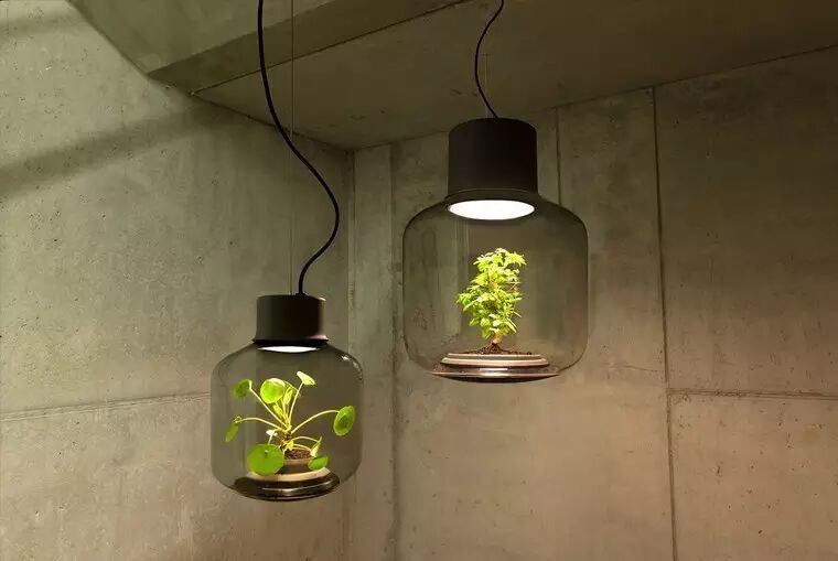 个性or优雅，哪个才是你的范儿？