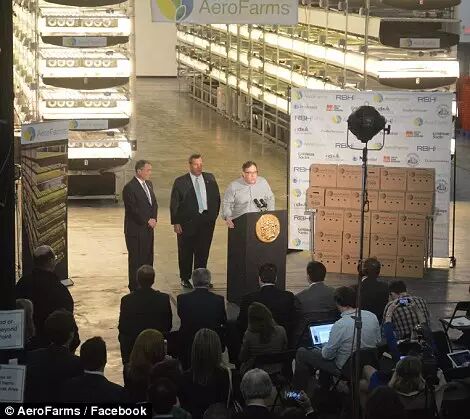 从生产到销售，带你全方位了解植物工厂