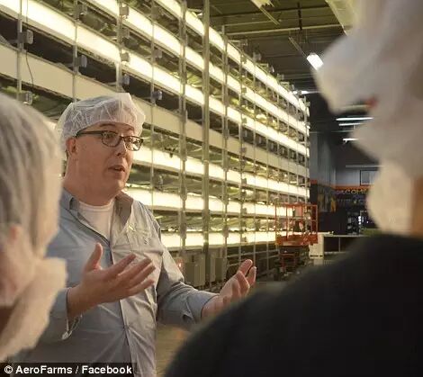 从生产到销售，带你全方位了解植物工厂