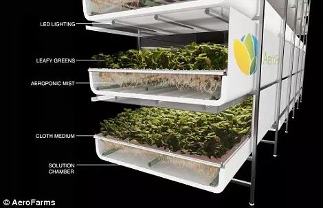 从生产到销售，带你全方位了解植物工厂