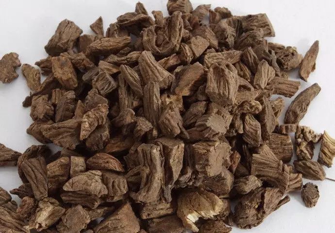酒续断多用于风湿痹痛,跌