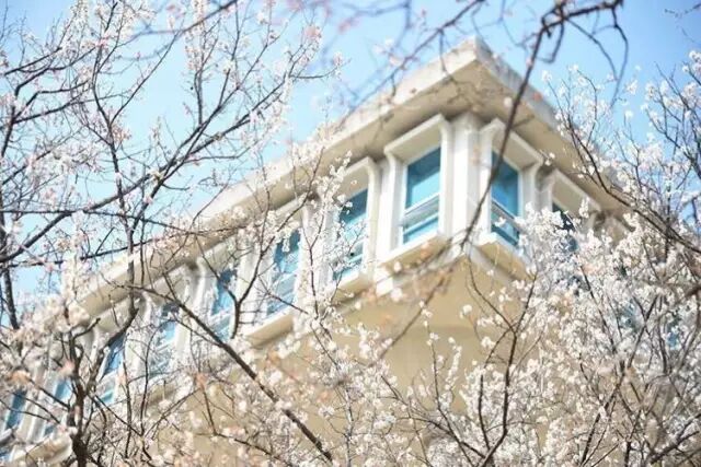 女子梨花大学风景