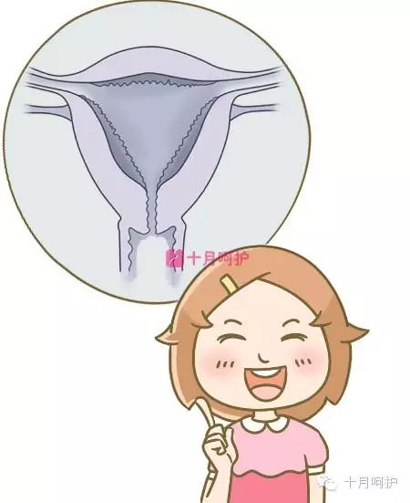 冷冻胚胎扣费4600_胚胎冷冻费用怎么算的_冷冻胚胎收费标准