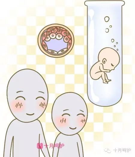 冷冻胚胎收费标准_冷冻胚胎扣费4600_胚胎冷冻费用怎么算的