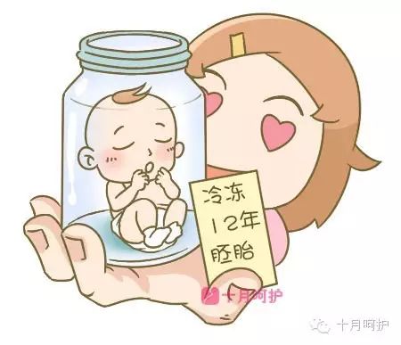 胚胎冷冻费用怎么算的_冷冻胚胎收费标准_冷冻胚胎扣费4600