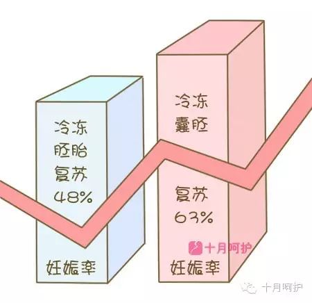 胚胎冷冻费用怎么算的_冷冻胚胎收费标准_冷冻胚胎扣费4600
