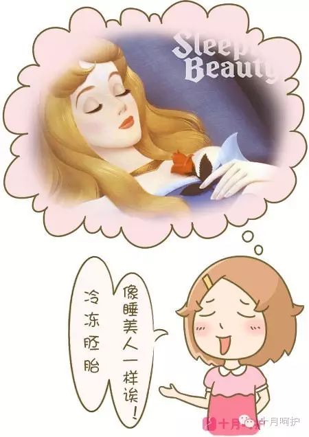 冷冻胚胎收费标准_胚胎冷冻费用怎么算的_冷冻胚胎扣费4600