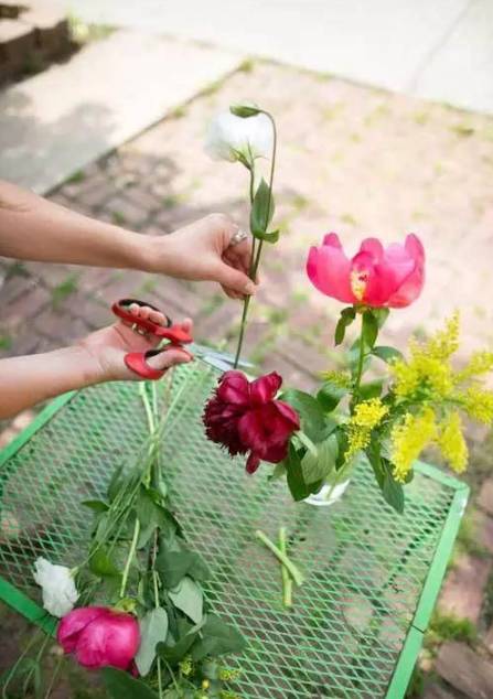 鲜花养护_鲜花养护方法_鲜花养护保鲜法/