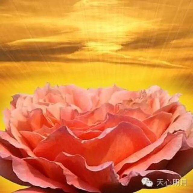 ...《Amazing Grace》Hayley Westenra