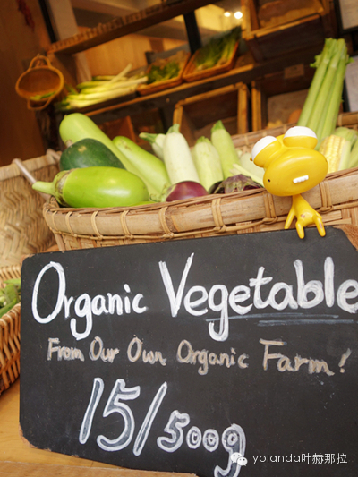 跟着但丁逛嘉善老市