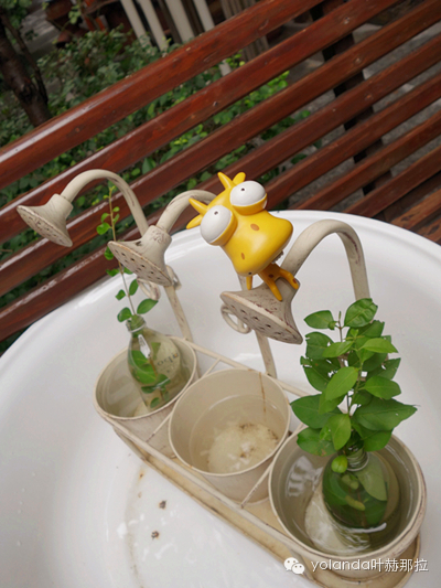 跟着但丁逛嘉善老市