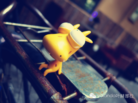 跟着但丁逛嘉善老市