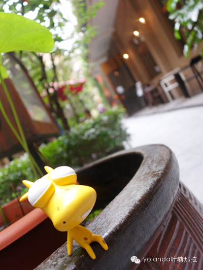 跟着但丁逛嘉善老市