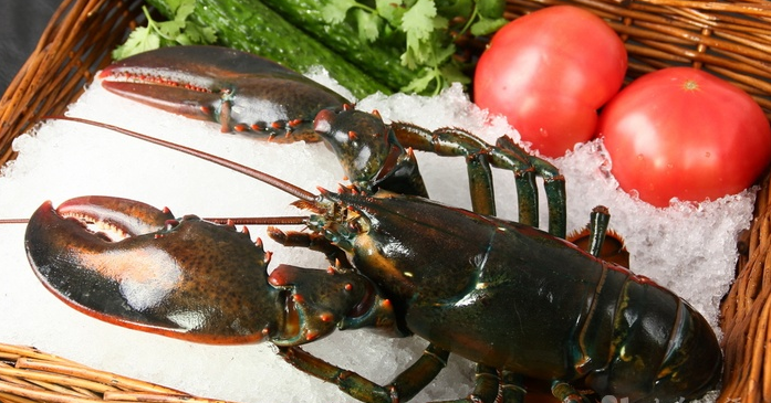 涨姿势 <wbr>| <wbr>关于大龙虾的8个小秘密