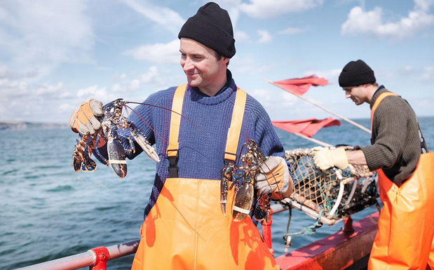 涨姿势 <wbr>| <wbr>关于大龙虾的8个小秘密