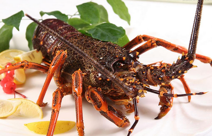 涨姿势 <wbr>| <wbr>关于大龙虾的8个小秘密