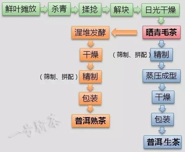 一号聊茶带你走进普洱茶