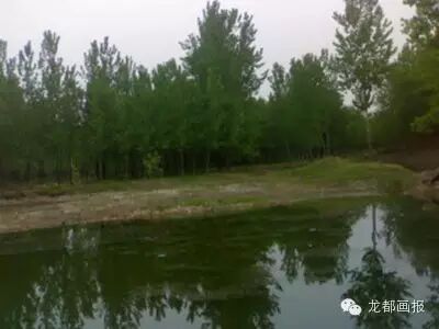 衮州 濮阳这些稀奇冷僻的地名，你都知道嘛？