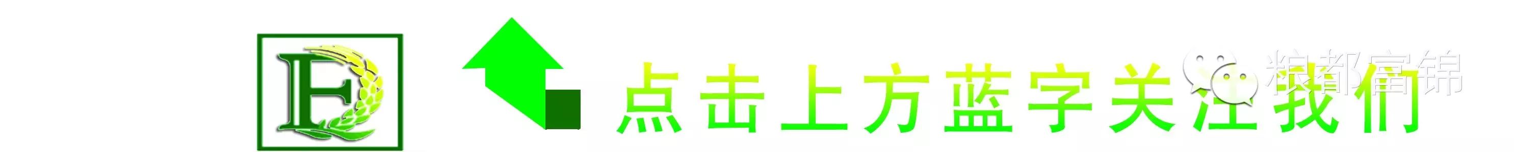 2017农村养什么致富快_养鸽子致富_致富经养