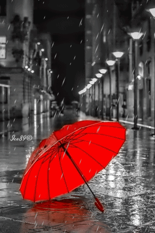 我不期待有人为我撑伞,我会自己撑一把伞,独自,漫步雨中,踏着一路的雨