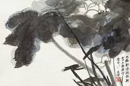 书法第一网:荷花图