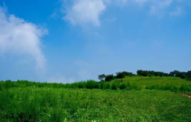 河南境內的這座山又美又低調，還藏著24℃的夏天 旅行 第25張