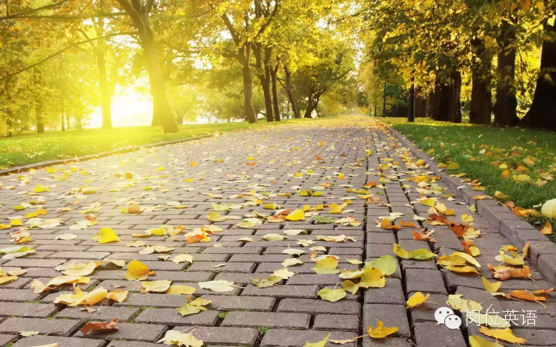 ...Carry Your Own Weight - Buika / Jason Mraz