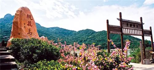 可以去附近的桃花岛和普陀山逛逛,白天去逛那些地方,晚上回到朱家尖听
