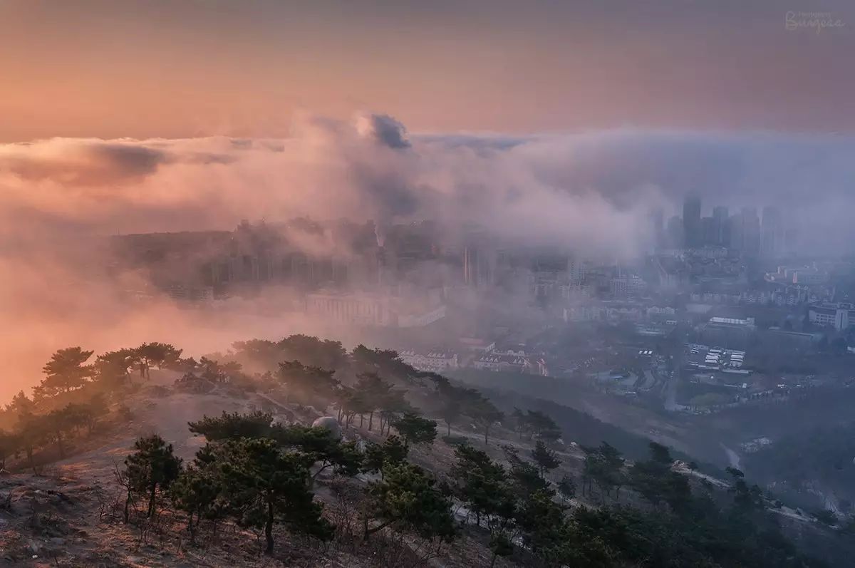 雲端上的青島，超震撼！(多圖) 科技 第14張